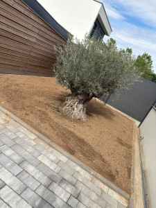 Photo de galerie - Paysagiste - Aménagement du jardin
