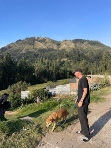 Photo de galerie - Promenade de votre chien