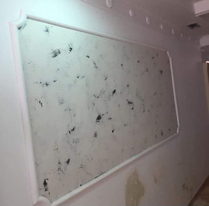 Photo de galerie - Pose de corniche 