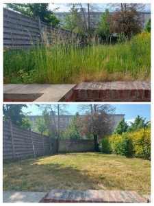 Photo de galerie - Tonte de pelouse - Débroussaillage