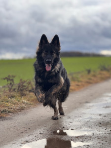 Photo de galerie - Balade