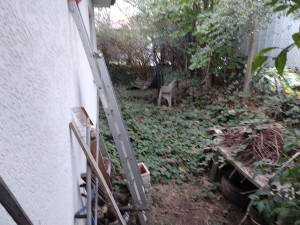 Photo de galerie - Avant.