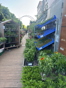 Photo de galerie - Botanic 