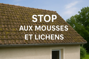 Photo de galerie - Couverture - Toiture