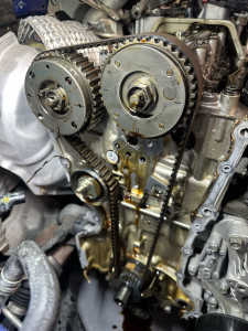 Photo de galerie - Distribution 