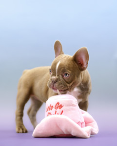 Photo de galerie - Photographe