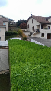 Photo de galerie - Paysagiste - Aménagement du jardin