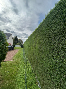 Photo de galerie - Taille 
