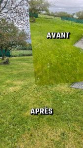 Photo de galerie - Tonte pelouse avant et après 