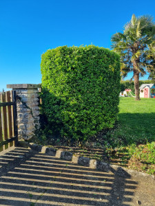 Photo de galerie - Après 