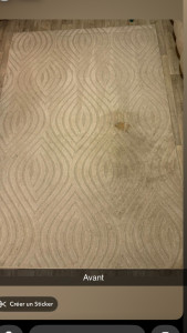 Photo de galerie - Avant passage 