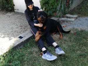 Photo de galerie - Irvin le Rottweiler