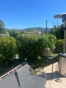 Photo de galerie - Taille d’un troène 