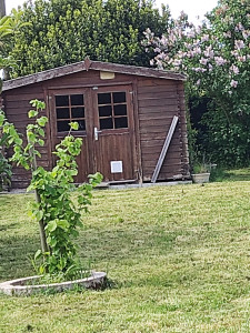 Photo de galerie - Tonte de pelouse - Débroussaillage