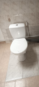 Photo de galerie - Toilette remplacer 
