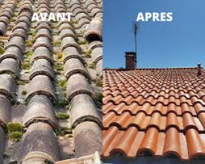 Photo de galerie - .