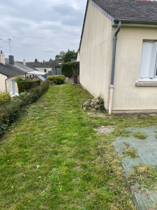 Photo de galerie - Tonte de pelouse / après 