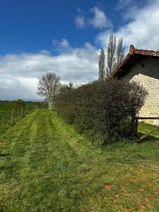 Photo de galerie - Taille de haies et d'arbustes