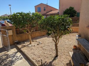 Photo de galerie - Tonte de pelouse - Débroussaillage