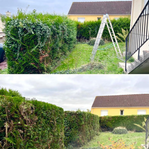 Photo de galerie - Taille de haie