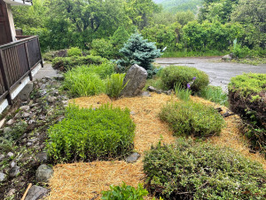 Photo de galerie - Aménagement 