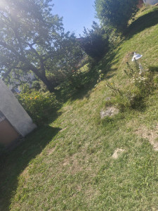 Photo de galerie - Après 