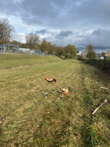 Photo de galerie - Fauchage 