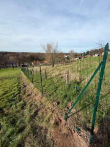 Photo de galerie - Grillage souples 