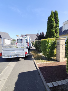 Photo de galerie - Taille de haies et d'arbustes