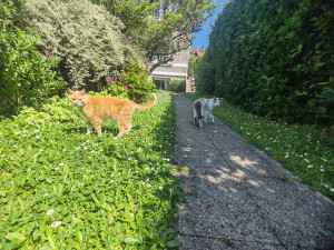 Photo de galerie - Roucas et Babou ♥️??