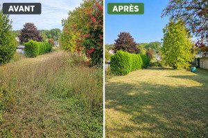 Photo de galerie - Travaux réalisés chez Rémy : tonte de la pelouse et débroussaillage afin de remettre le terrain en état et de lui redonner un aspect propre et soign