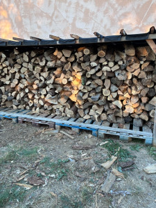 Photo de galerie - 10 stères ranger en 3h avec un collègue dans plusieurs abris