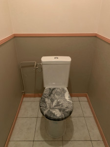 Photo de galerie - Changement de toilette 