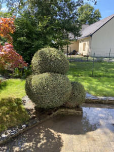 Photo de galerie - Taille d’arbuste en topiaire 
