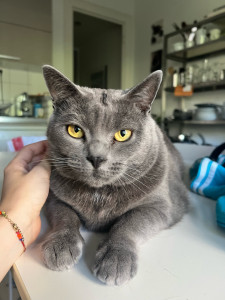 Photo de galerie - Je suis la nounou de Solan depuis bientôt 2 ans !