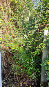 Photo de galerie - Avant intervention 