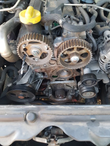 Photo de galerie - Distribution jimny DDIS