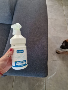 Photo de galerie - Utilisation de produit d’entretien 