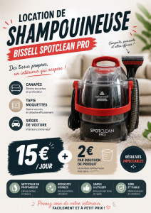 Photo de galerie - Informations et tarification pour la location de la shampouineuse avec le produit que je fournis.