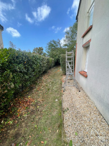 Photo de galerie - Taille de haies et d'arbustes