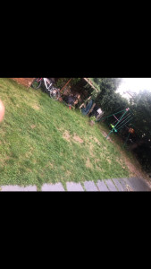 Photo de galerie - Paysagiste - Aménagement du jardin