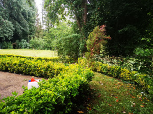 Photo de galerie - Tondre la pelouse, préparer des terrasses et jardins 