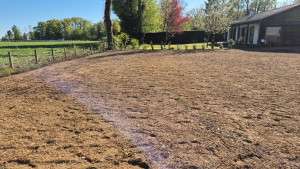 Photo de galerie - Engazonnement 