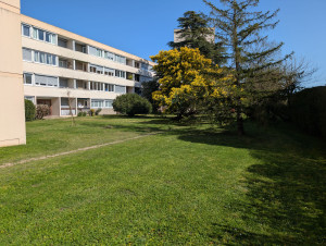 Photo de galerie - Tonte de pelouse 