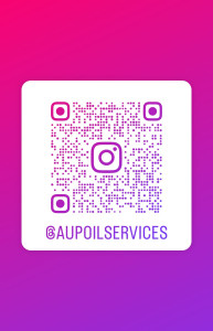 Photo de galerie - Éducation canine avec démonstrations en réels.
Je ne mets pas les animaux des clients en vidéos, uniquement mon chien avec quelques exercices d'entraînement que j'ajoute régulièrement. 