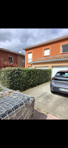 Photo de galerie - Taille de haie et rabattage 40cm pour un niveau hauteur d homme.