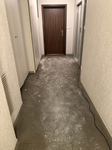 Photo de galerie - Commun d’immeuble après travaux 