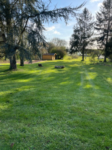 Photo de galerie - Tonte de pelouse - Débroussaillage