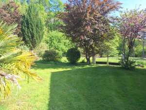 Photo de galerie - Tonte pelouse