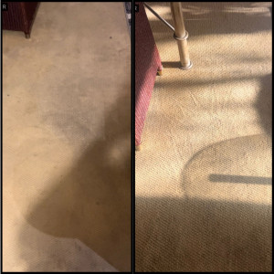 Photo de galerie - Avant ➜ Après : nettoyage pro